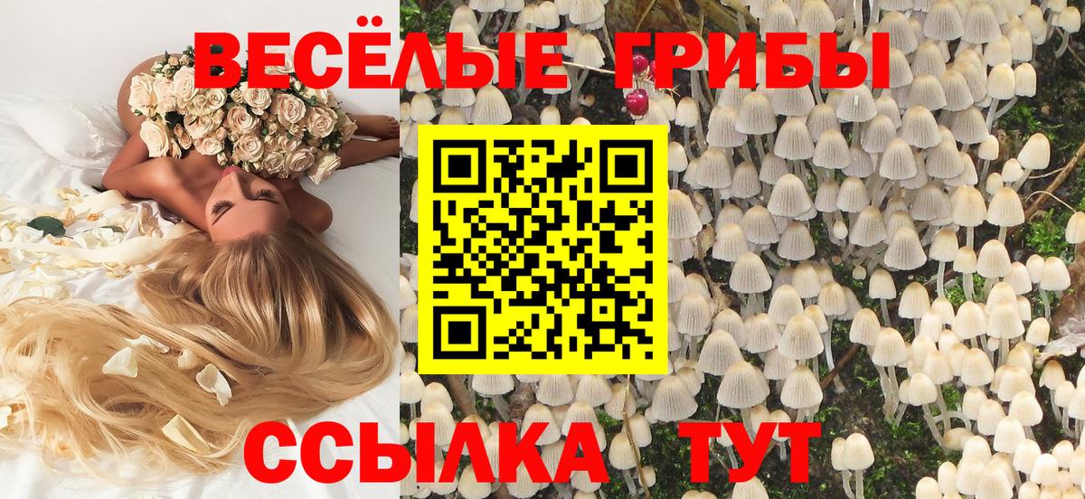 Галлюциногенные грибы Psilocybine cubensis  Вход с VPN  Прокопьевск  Псилоцибиновые грибы Psilocybine cubensis 